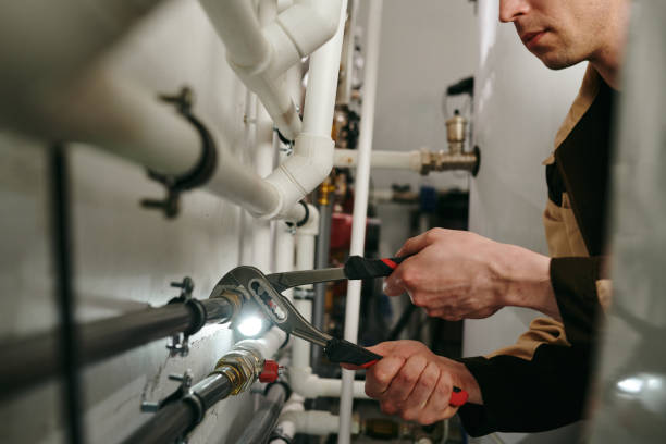 Best Clogged Drain Plumber  in Lake Of The Woods, IL