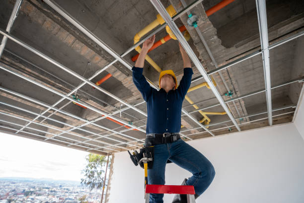 Best Residential Plumbing Services  in Lake Of The Woods, IL