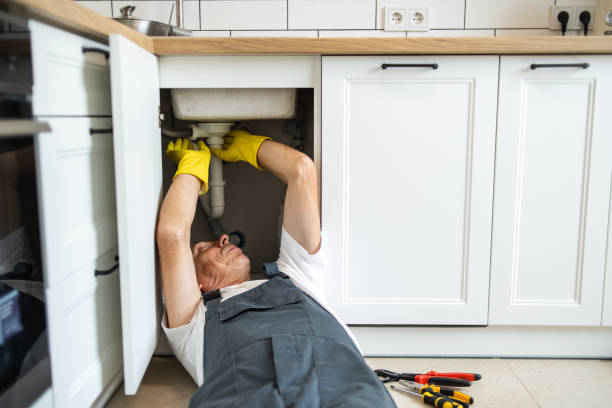 Best Boilers & Radiators  in Lake Of The Woods, IL