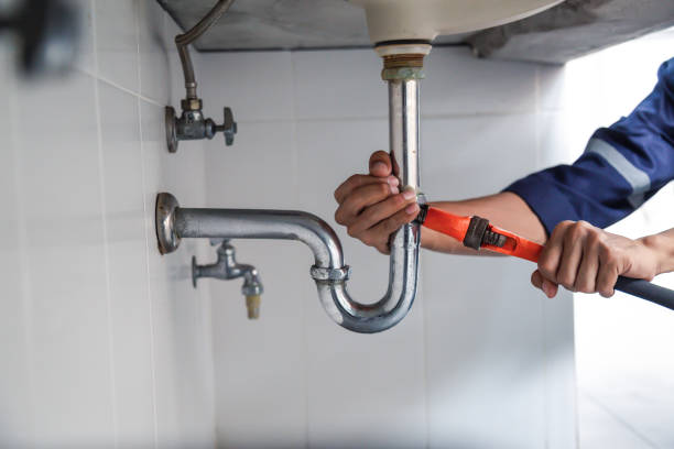 Best Local Plumber Services  in Lake Of The Woods, IL