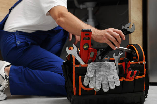 Best Leak Detection Services  in Lake Of The Woods, IL